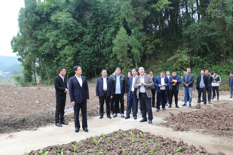 1573198029712494.jpg 1111.jpg